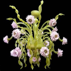 "Delia"Murano Glass Chandelier